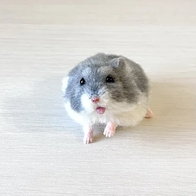 可愛いですね！思わずお水を差しだしたくなっちゃいます！▶ちょっと上を向いている角度だと（⇒次へ）