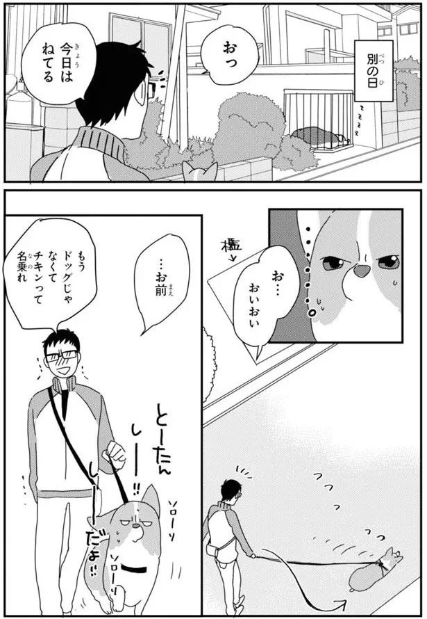 もうドッグじゃなくてチキンって名乗れ