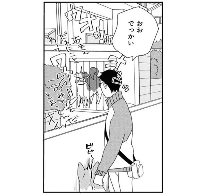 檻の中にいるのに？ほえられてビビるチキンなうちの犬