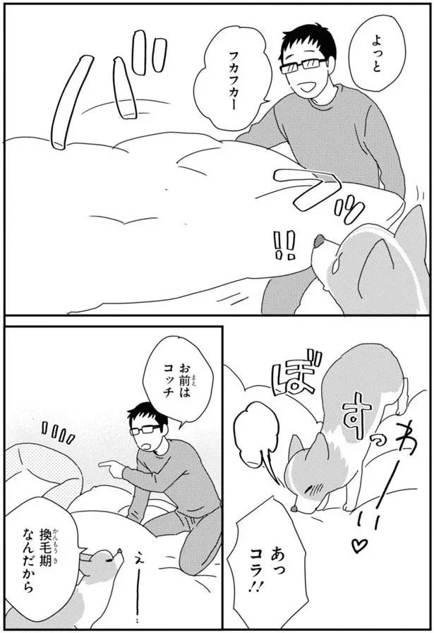 換毛期なんだから