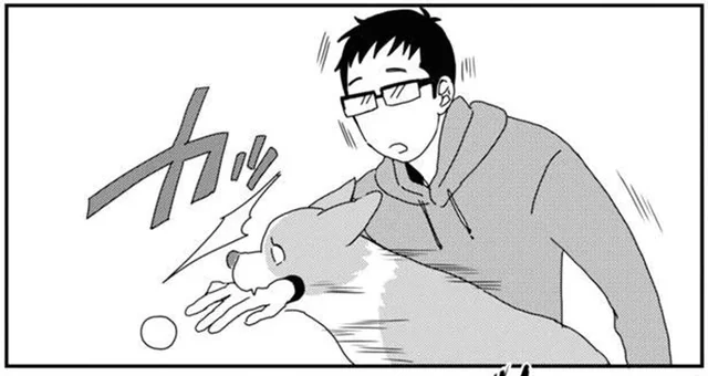 事故だから！テンションが上がりすぎて猛省中のワンコ