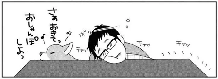 お散歩に行きたいワンコと、こたつから出たくない飼い主の攻防！