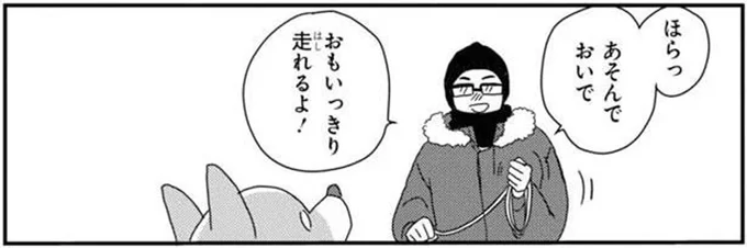 ひとりっこ気質なんです。飼い主にチラ見でアピール！