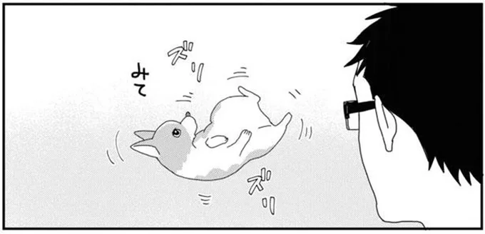 ケンカ売ってる？掃除機をかけたのに仕事を増やすコーギー