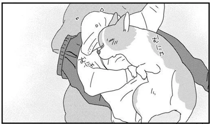 洗濯物の上で眠るワンコにお仕置き。えっ動じてない？