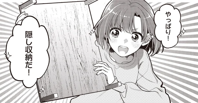 入居したばかりの部屋で発見！？隠し収納にあった開かない箱／或いは、私の名探偵 1（2）