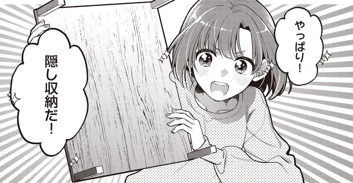 入居したばかりの部屋で発見！？隠し収納にあった開かない箱／或いは、私の名探偵 1（2）