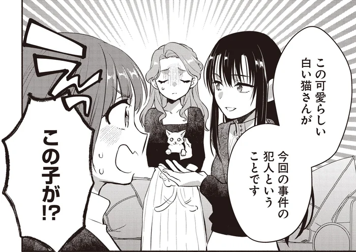 事件の犯人は管理人の白猫！？謎の音と声を出した理由は？／或いは、私の名探偵 1（12）