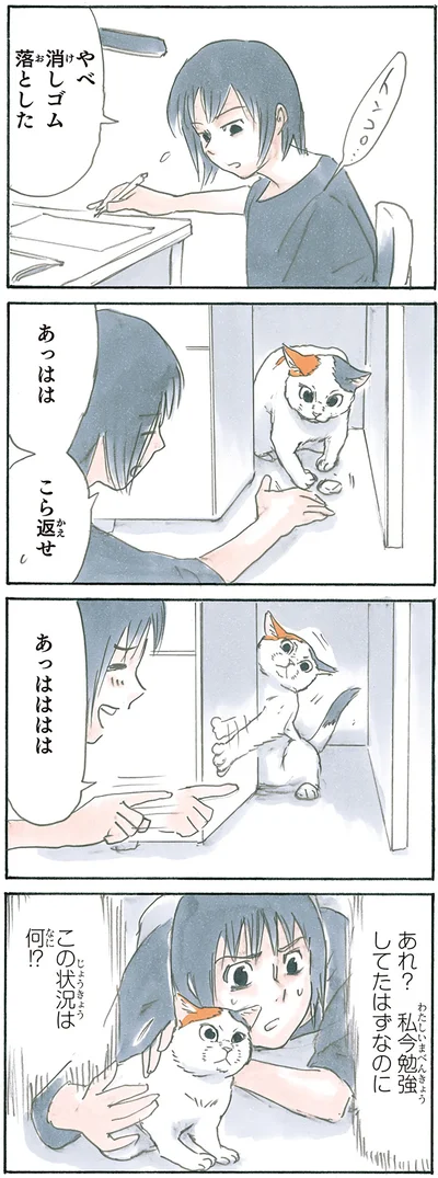 猫の魔力
