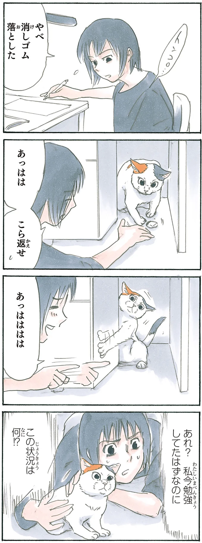 猫の魔力