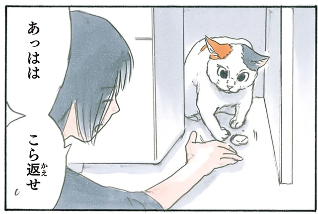 消しゴムを落とした先にいたのは猫。思わずあやしていたら気付いたこと