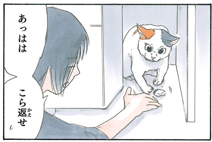 消しゴムを落とした先にいたのは猫。思わずあやしていたら気付いたこと