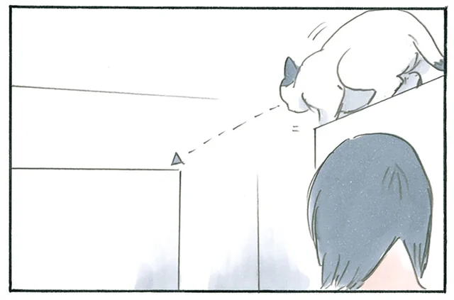 猫様が移動したいのならサポートいたします！ 飼い主の休日の過ごし方