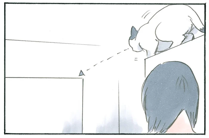 猫様が移動したいのならサポートいたします！ 飼い主の休日の過ごし方