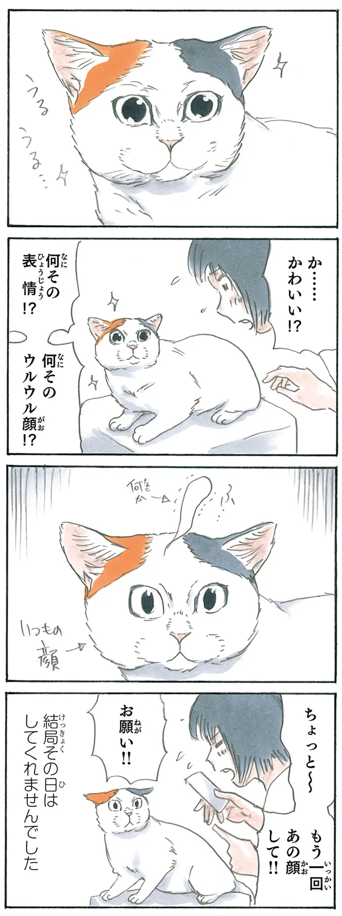 幻のウルウル顔
