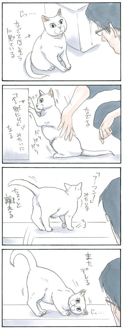 なでてほしそうに見ている
