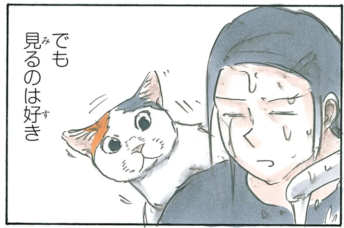 水かかるのキライ、でも見に来る。なかなか学習しない猫にひとこと