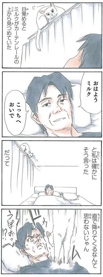 カーテンの上から