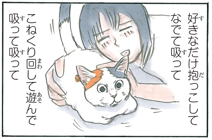 好きなだけ抱っこして…