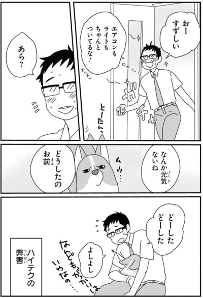 どーしたどーした