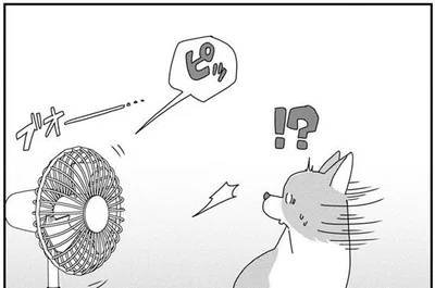 留守番しているペットのことが気になって自宅をハイテク化！