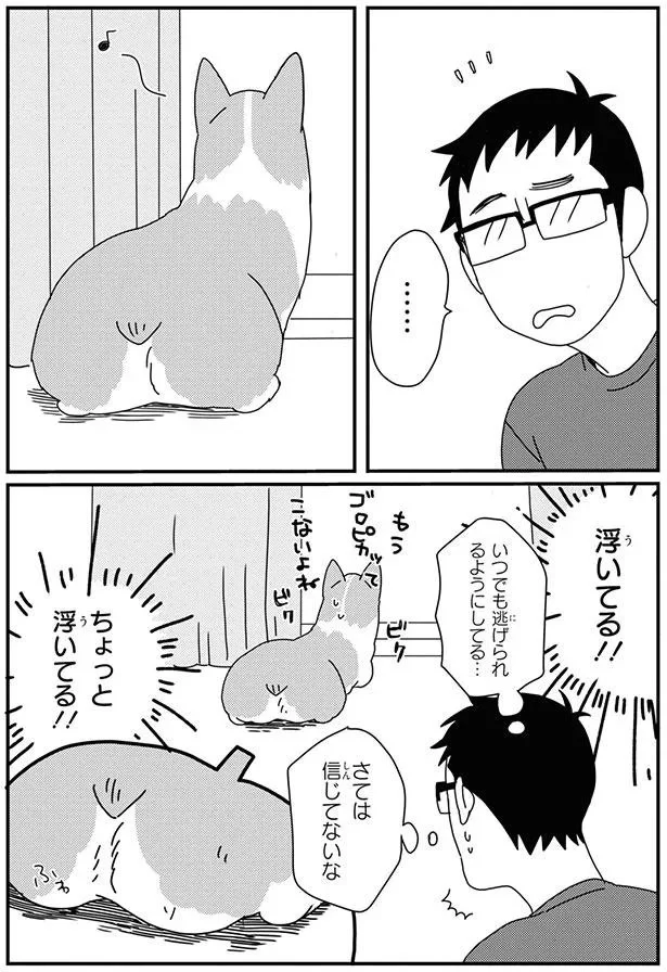 『あしょんでよッ-～うちの犬ログ～8』より