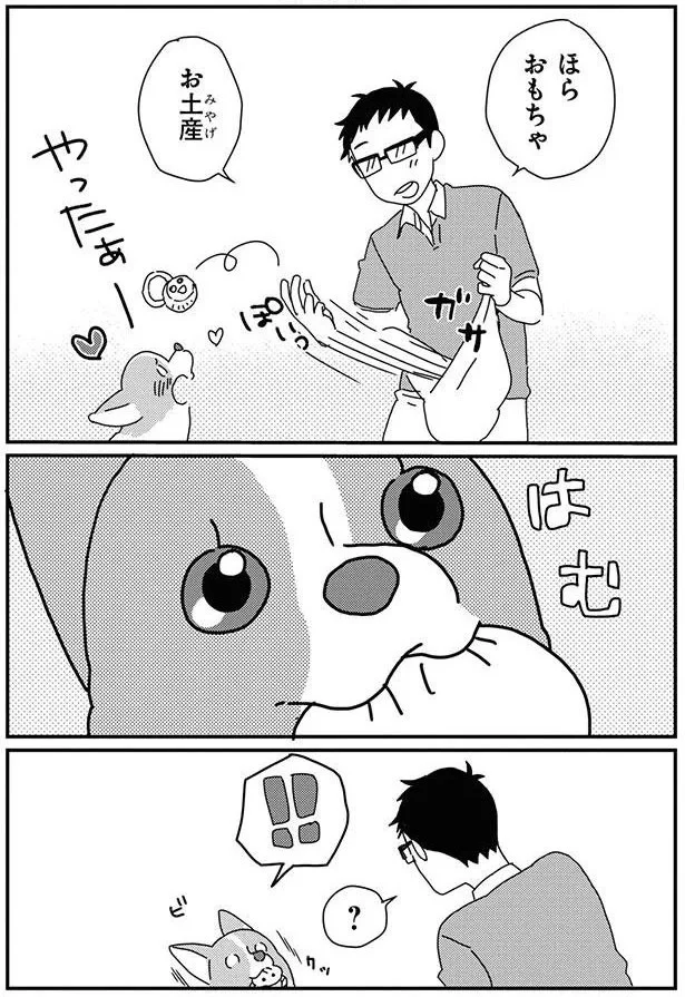 『あしょんでよッ-～うちの犬ログ～8』より