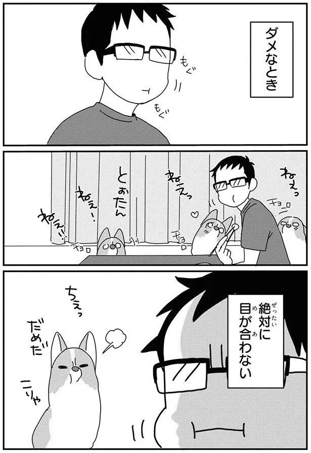 『あしょんでよッ-～うちの犬ログ～8』より
