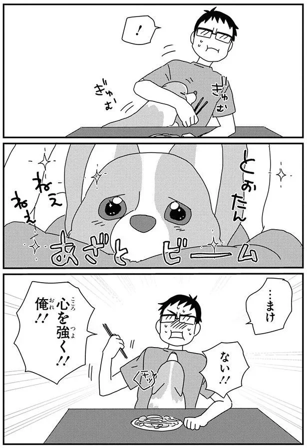 『あしょんでよッ-～うちの犬ログ～8』より