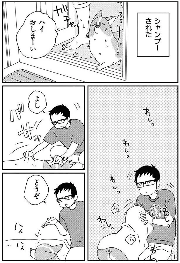 『あしょんでよッ-～うちの犬ログ～8』より