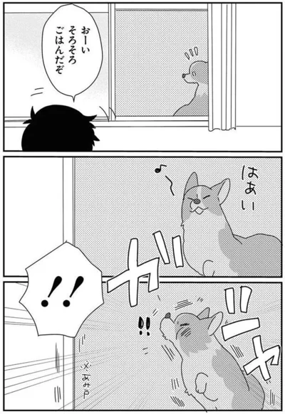 『あしょんでよッ-～うちの犬ログ～8』より