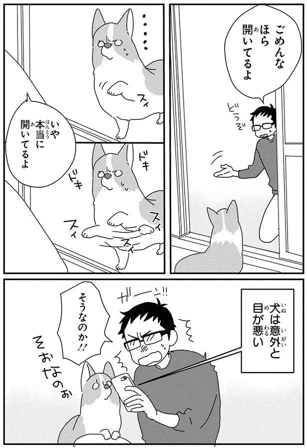 『あしょんでよッ-～うちの犬ログ～8』より