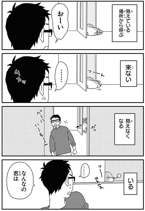 『あしょんでよッ-～うちの犬ログ～8』より