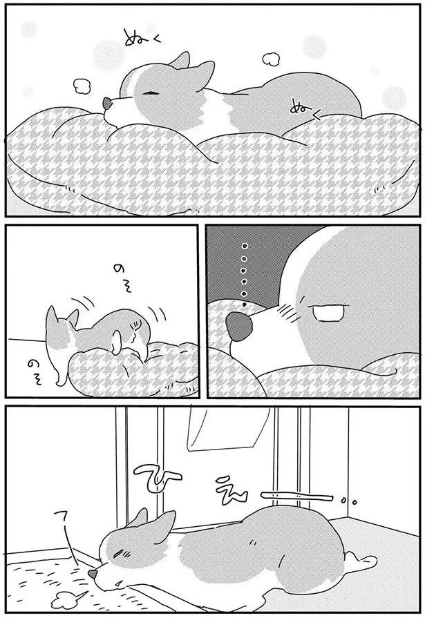 『あしょんでよッ-～うちの犬ログ～8』より