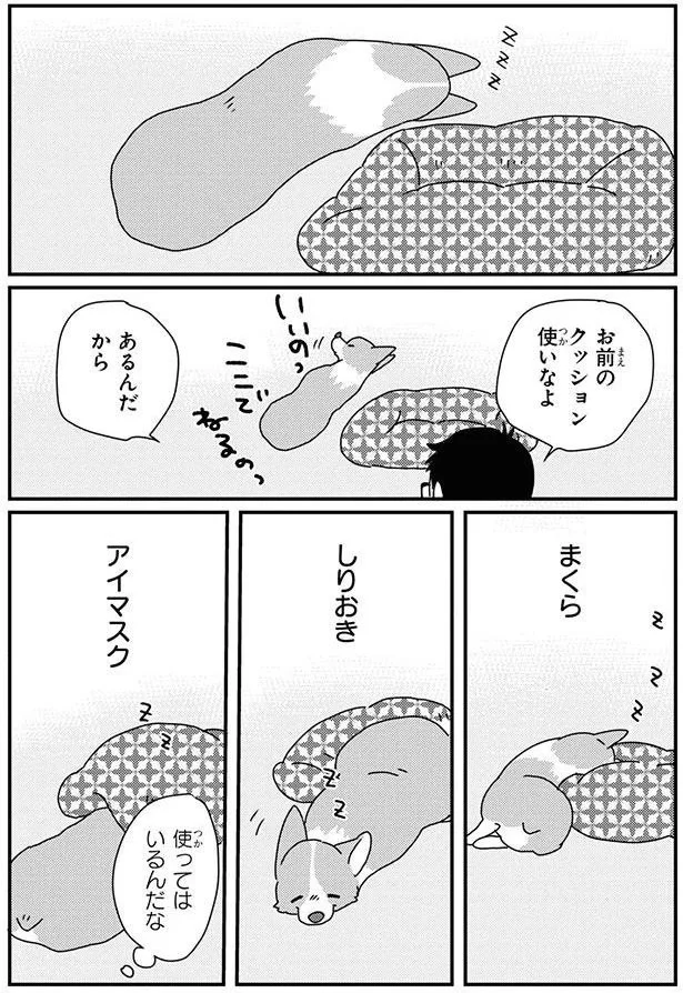 『あしょんでよッ-～うちの犬ログ～8』より