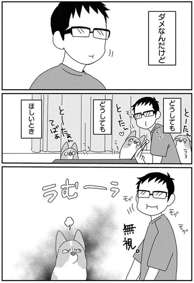 どうしても　どうしても　ほしいとき