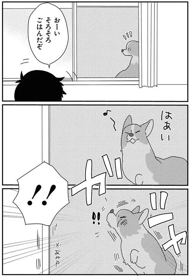 おーい　そろそろごはんだぞ