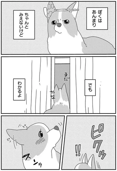 ぼくはあんまり　ちゃんとみえないけど