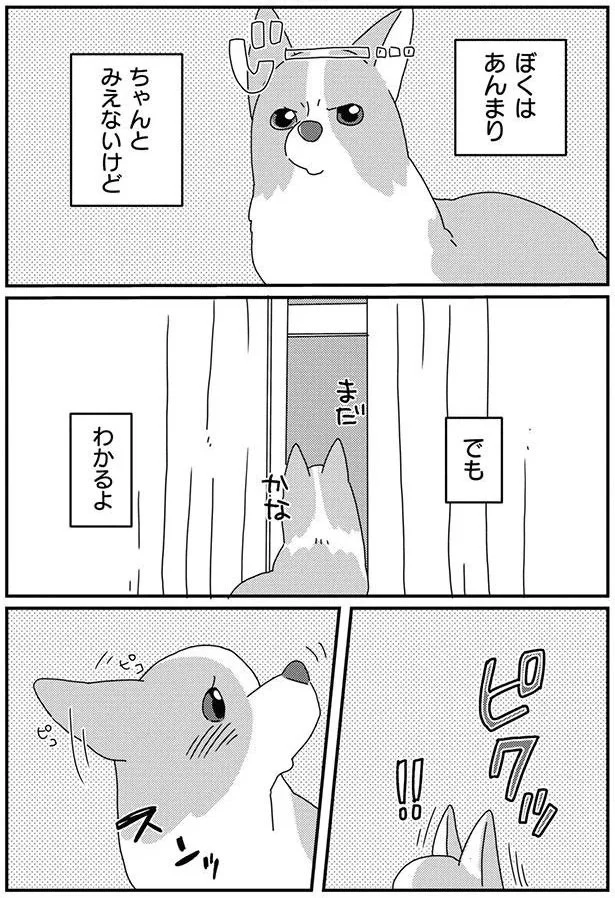 ぼくはあんまり　ちゃんとみえないけど