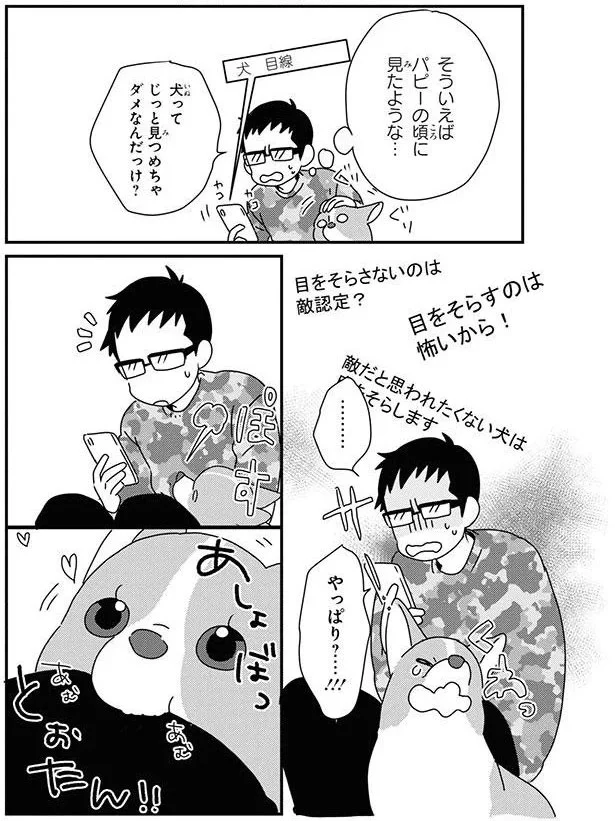 検索「犬　目線」