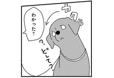 カクンと首をかしげる仕草が好き！うちの子にもやってほしくて