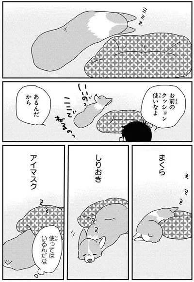 使ってはいるんだな