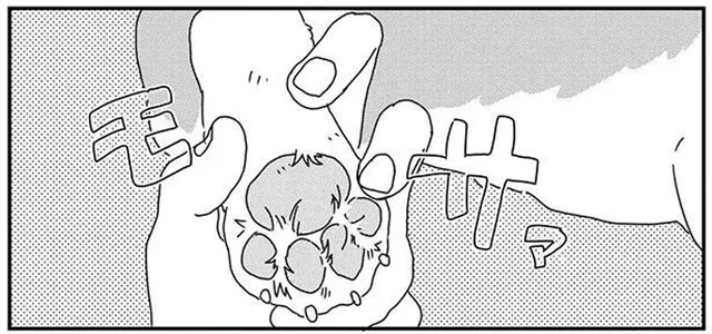 あし毛がボーボー！ワンコの足裏チェックはかかせません