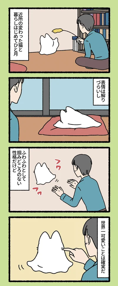 近所の変わった猫と暮らしはじめてひと月