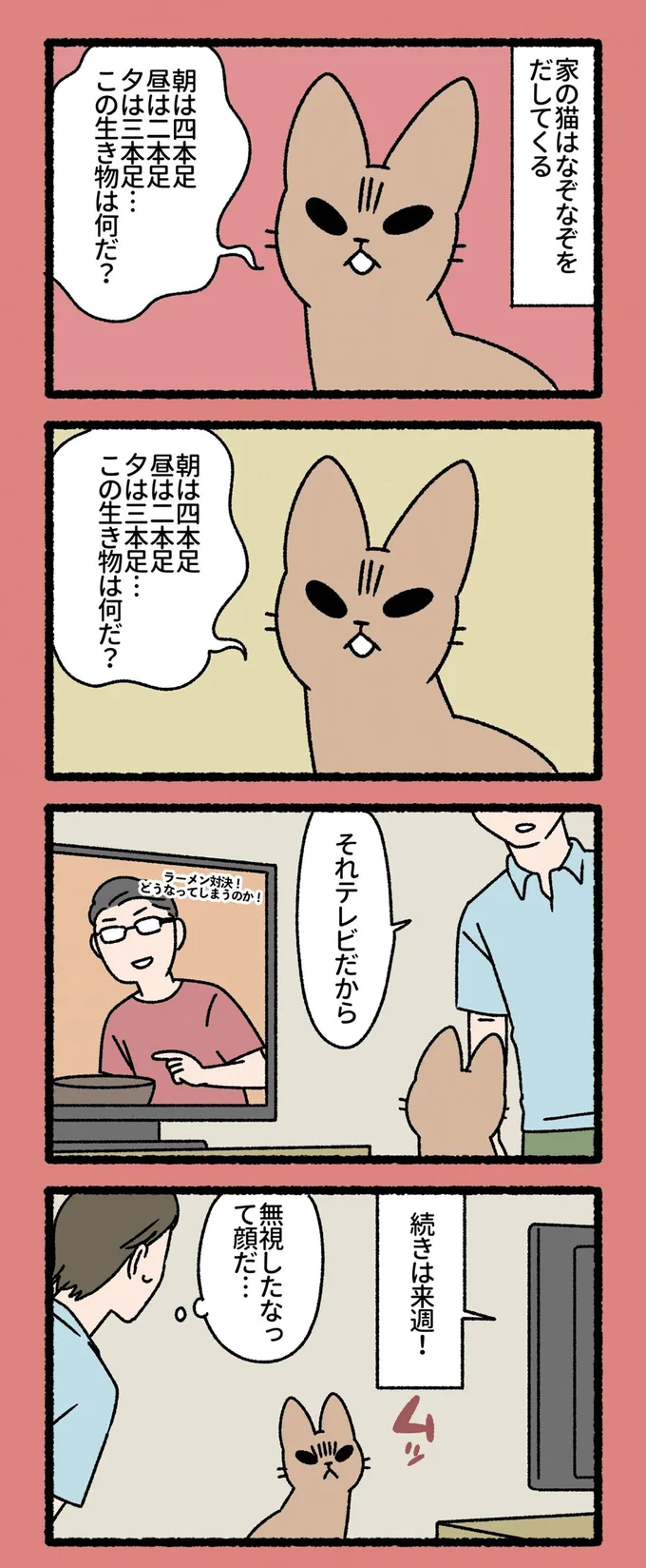 家の猫はなぞなぞをだしてくる