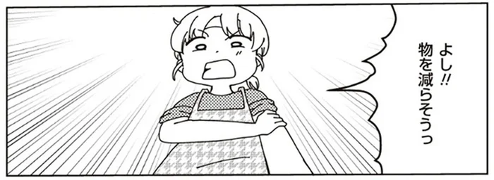 フィギュアも缶バッジも捨てられない！ ミニマリストを目指そうと思ったけれど／家族の癖を理解すると片付く家になりました（1）