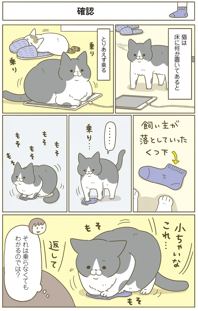 『うちの猫がまた変なことしてる。７』より