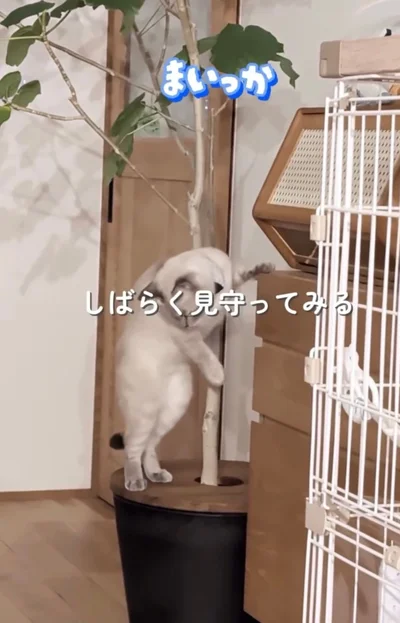 物を落としても名前を呼ばれても気にしない▶顔が見えない立ち姿はまるで…（⇒次へ）