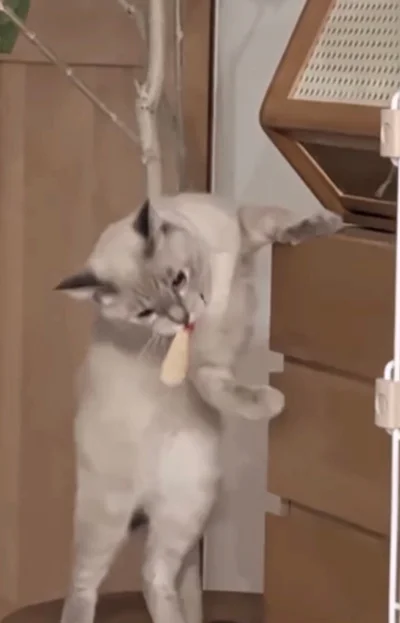 お目当てのものを発見▶口にくわえ、ひょいと降りると…（⇒次へ）