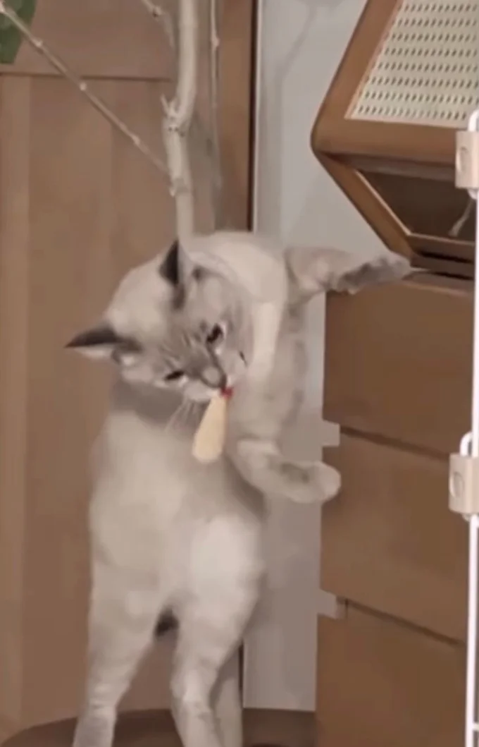 お目当てのものを発見▶口にくわえ、ひょいと降りると…（⇒次へ）